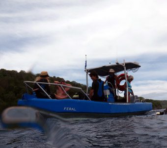 Wet n Dry Adventures is Christmas Island’s friendly family dive business that runs up to two double dives each day from the Wharf in Flying Fish Cove