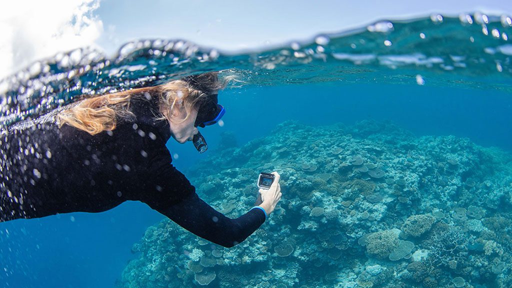 1- Best 8 Dive Sites in Cairns & Port Douglas | Best reefs for divers in Cairns- Split Shot Master Reef Guide Michelle Barry Taking Part in the Great Reef Census at Milln Reef