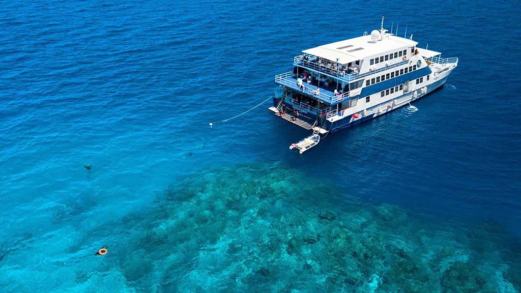 1 divers den oceanquest liveaboard great barrier reef australia hero