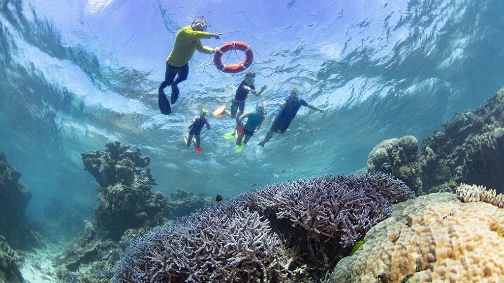 1 10 ways to help conserve and protect the Great Barrier Reef - snorkelling the great barrier reef with dreamtime dive and snorkel