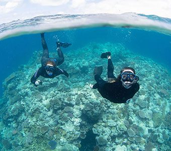 Cheap flights to Cairns launch 1-April - just one reason to revisit Cairns and the Great Barrier Reef. Here are 3 more reasons to a short break in Cairns.