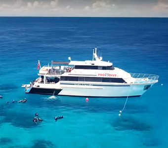 Pro Dive Cairns Scubapro Liveaboard.Three purpose built budget category dive liveaboards Scubapro offer shorter trips on the Outer Reef near Cairns
