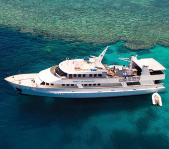 Spirit of Freedom Liveaboard diving the Great Barrier Reef Ribbon Reefs and Coral Sea dive sites in spacious luxury with top class cuisine.