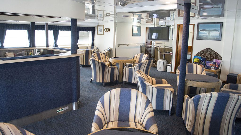 4 divers den oceanquest liveaboard great barrier reef australia saloon