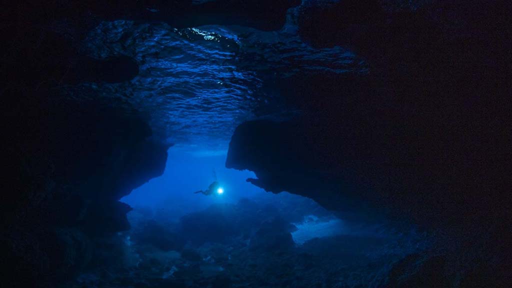 5 Diving Christmas Island | Our Top 10 Best Dives on Christmas Island