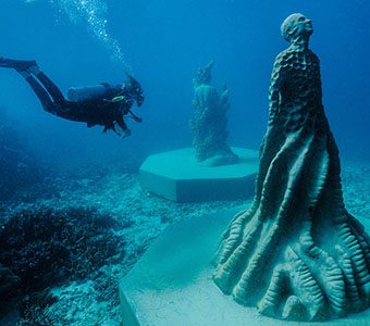 diving tours australia MOUA Ocean Sentinel feature