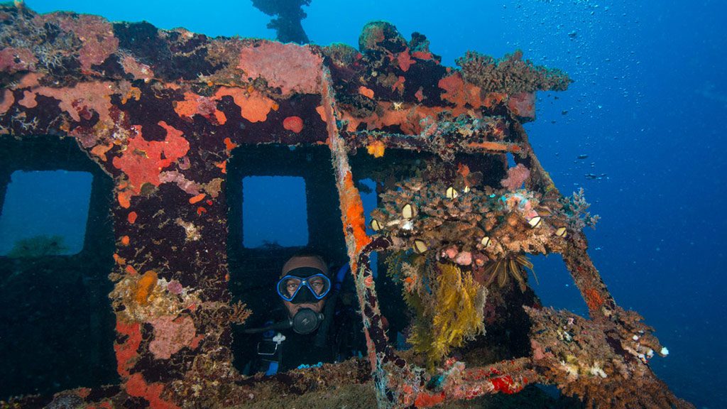 Diveplanit diving vanuatu efate hideaway island bonzer wreck jj39088
