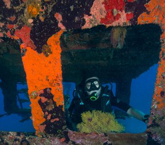 Diveplanit diving vanuatu efate hideaway island bonzer wreck jj39112 feature340