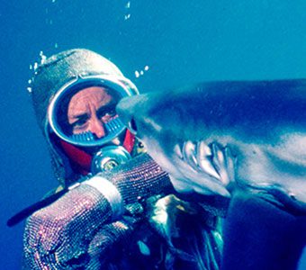 Playing with Sharks: new film tells Valerie Taylor's story, putting herself on the front line for sharks for over 70 years.