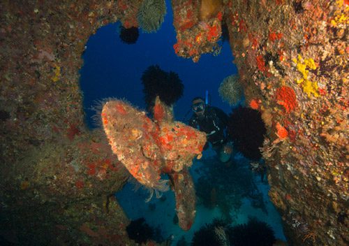 Diving Port Vila is easy: stay a week at Hideaway Island Resort, or dive for a day or two with Big Blue. Discover SCUBA or learn to dive with either.