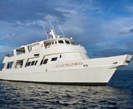 Atlantis Azores Liveaboard's variety of itineraries covers some of the best sites in the Philippines including Tubbataha Reef and Malapascua