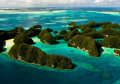 Palau Scuba Diving Resorts & Liveaboards offer a Holy Grail of scuba diving: Palau's waters are highly nutritious attracting mantas, snappers, sharks & more