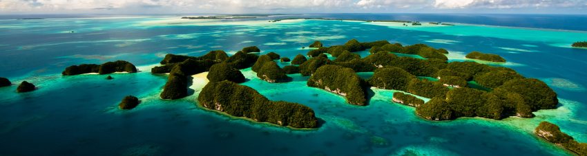 Five BIG Reasons to Dive Palau