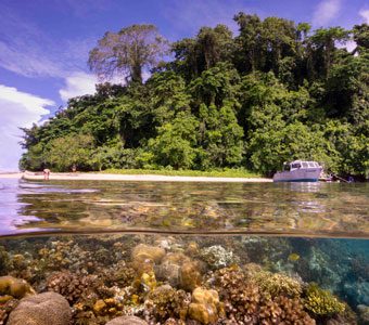 Walindi Plantation Resort great diving on Kimbe Bay's spectacular reefs & luxury accommodation are why it is the most sought-after dive destination in PNG