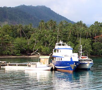 Tawali Dive Resort’s unique location on the northern coast gives access to the best dive sites in Milne Bay: pristine coral reefs, muck diving & WWII wrecks