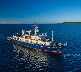 Solitude One Liveaboard has itineraries in Palau and the Philippines. A large comfortable vessel with a variety of en suite cabin configurations.