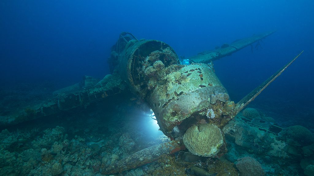 Palau jayne jenkins plane wreck jj36130