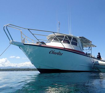 Rabaul Kokopo Dive, operating from Rapopo Plantation Resort, offer dive trips to the surrounding wrecks and pristine reefs as well as snorkelling tours