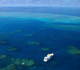 Great Barrier Reef holidays: Great Barrier Reef Tour, Great Barrier Reef snorkelling. Places to stay to visit the Great Barrier Reef in Australia