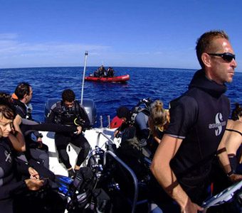 Abyss Plongee Diving Club is based in Noumea, offers daily dive trips to the South Lagoon & excursions to other main island dive sites such as Prony Needle.