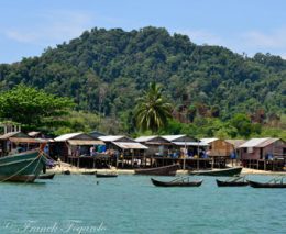 Scuba diving Myanmar Mergui Archipelago affords unique diving opportunities on rarely dived sites. Mergui Archipelago is dived via Thailand liveaboards