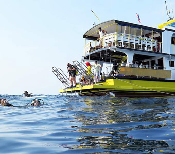 Liveaboards enable you to dive the best diving sites in a region in a floating hotel. Find fantastic liveaboards by country or experience, and book online!