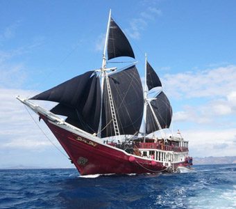Seven seas liveaboard komodo raja ampat indonesia cruising feature