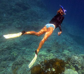 Best snorkelling tawali coral gardens