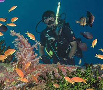 Diving bootless bay… port moresby, a stopover with a diving difference