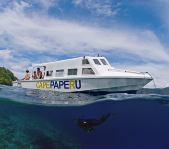 Nabucco’s Cape Paperu Resort is a great little dive resort and Extra Divers dive centre offers a great variety of excellent diving in Ambon