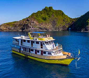 14 sea bees diving similans thailand marco polo feature340