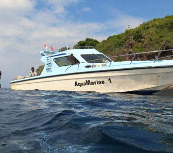 AquaMarine Diving Bali (AMD-B) is a full service dive travel company offering PADI dive courses, dive safari packages & book dive tours through Indonesia