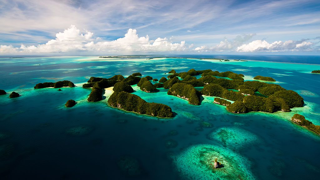 Palau Scuba Diving Resorts & Liveaboards