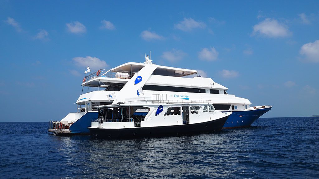 Blue Voyager: save 25% on maldives liveaboard trips!