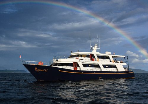 Mermaid ii vessel rainbow feature