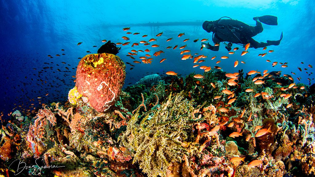 Atlantis resorts philippines – stay 8/pay 7 special