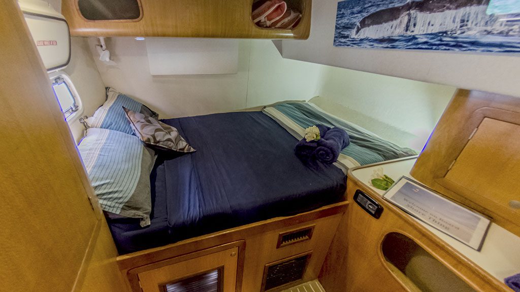 Dive ningaloo with sail ningaloo liveaboard shore thing deluxe cabin starboard