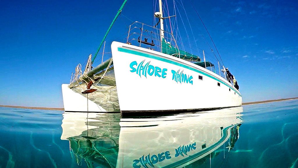 Dive ningaloo with sail ningaloo liveaboard shore thing
