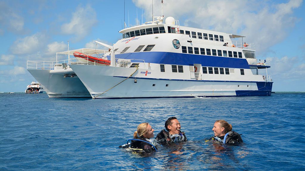 Minke whale trips with divers den