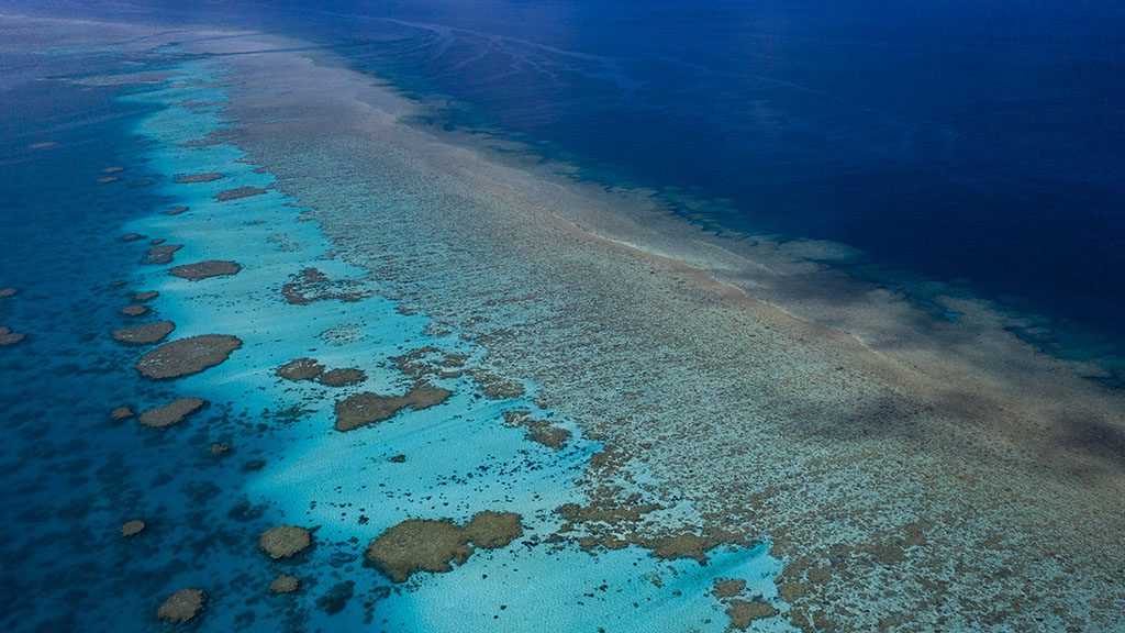 Book now to dive rowley shoals in 2021