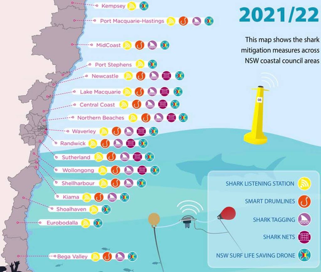 Saving norman: a new campaign aims to protect bondi’s grey nurse shark population