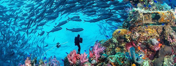 Truk Lagoon with Brisbane Dive Academy – Sep 2026
