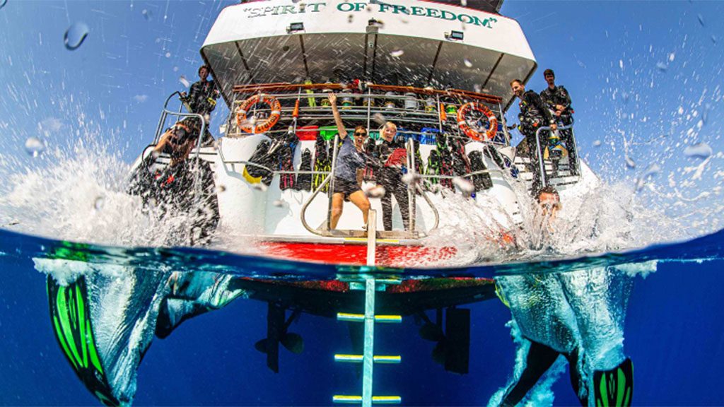 Spirit of freedom great reef census trip