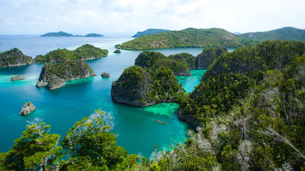 11 pindito liveaboard komodo raja ampat indonesia raja ampat copyright simon mustoe wildia