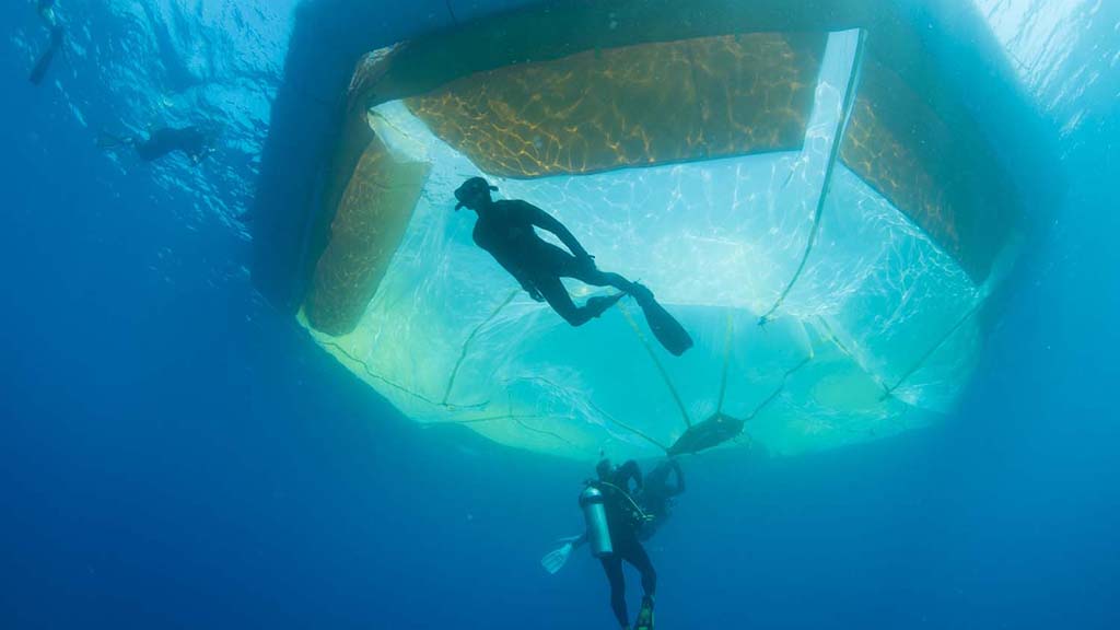 Great barrier reef inflatable larval rearer for the coral larval reseeding project in 2019 credit juergen freund