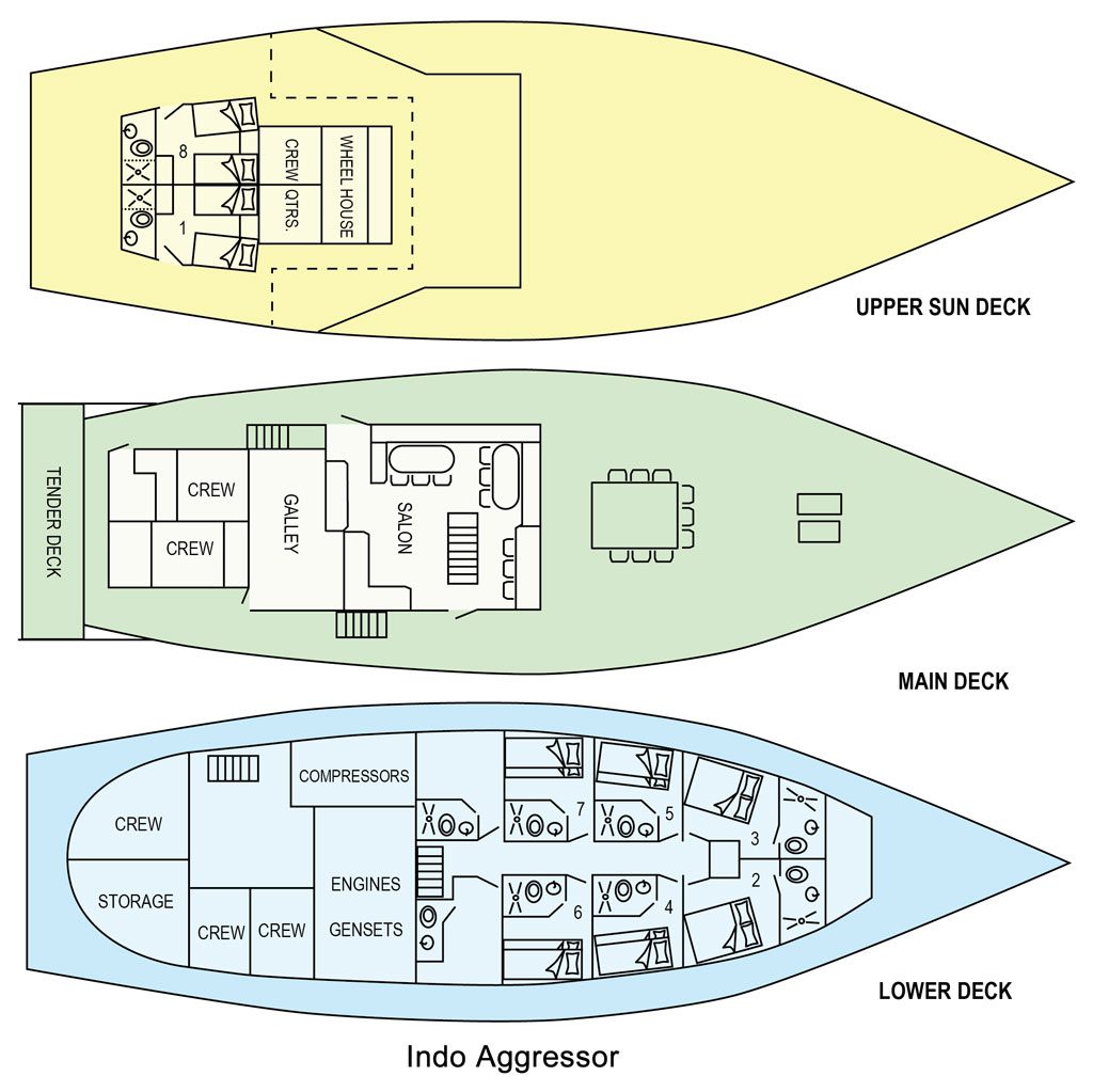 13 indo aggressor liveaboard indonesia cabin layout