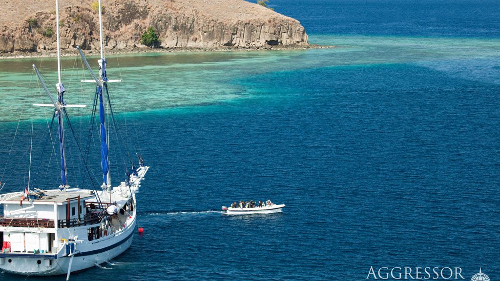 7 indo aggressor liveaboard indonesia with tender