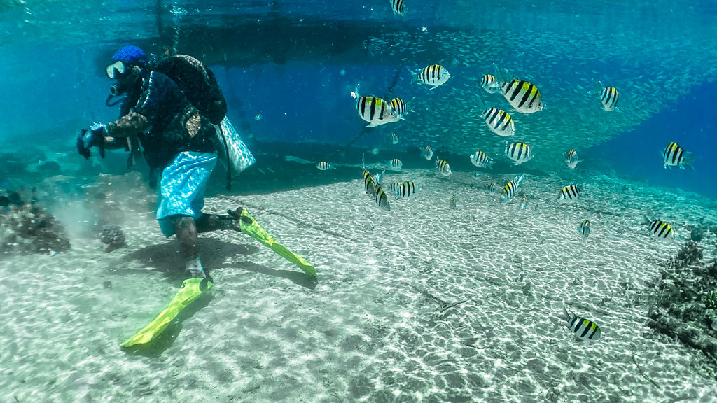 Diving Aore Adventure Sports & Lodge, Espiritu Santo, Vanuatu