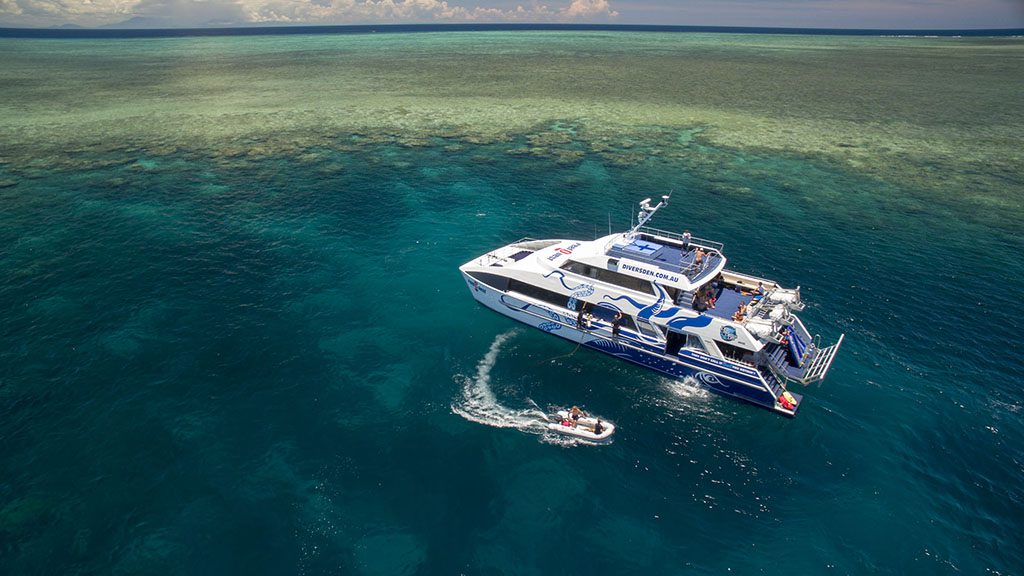 Divers den day trip reefquest