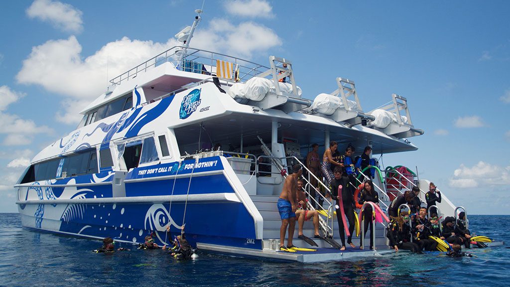 Divers den day trip